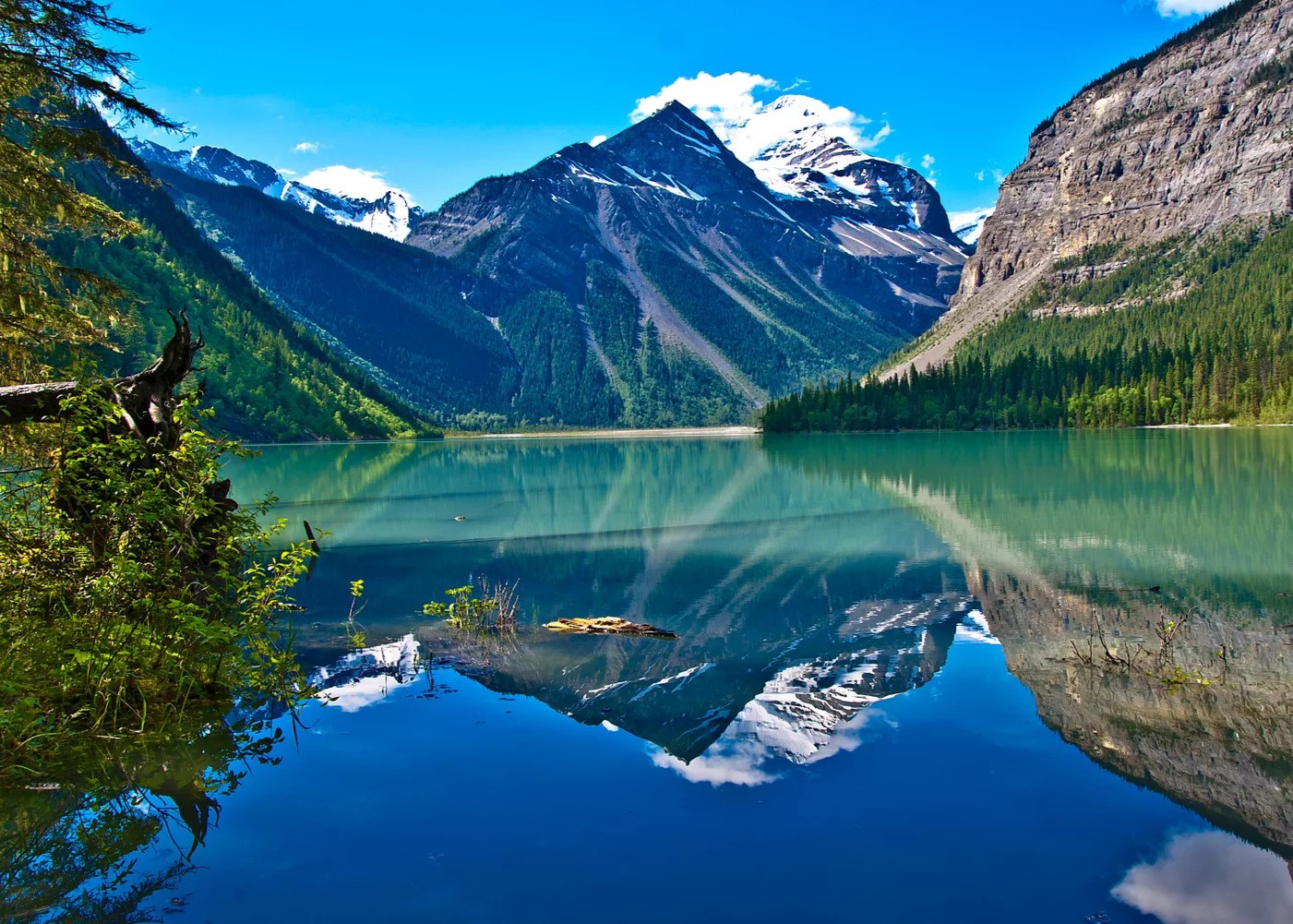 University of British Columbia Four‑Year Doctoral Fellowship 2026 | Canada | Fully Funded