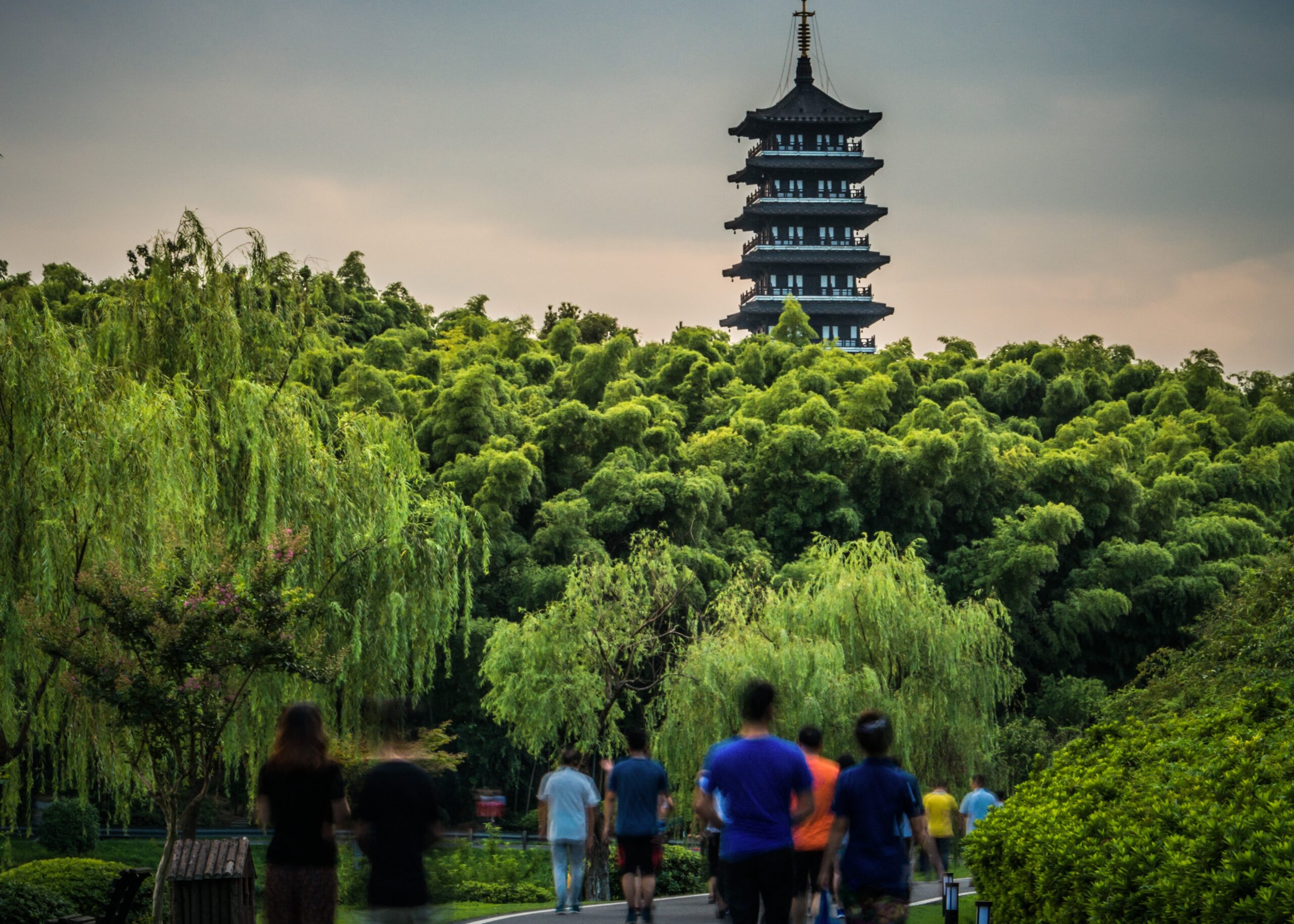 FuSEP Summer Exchange Program 2026 | China | Fully Funded