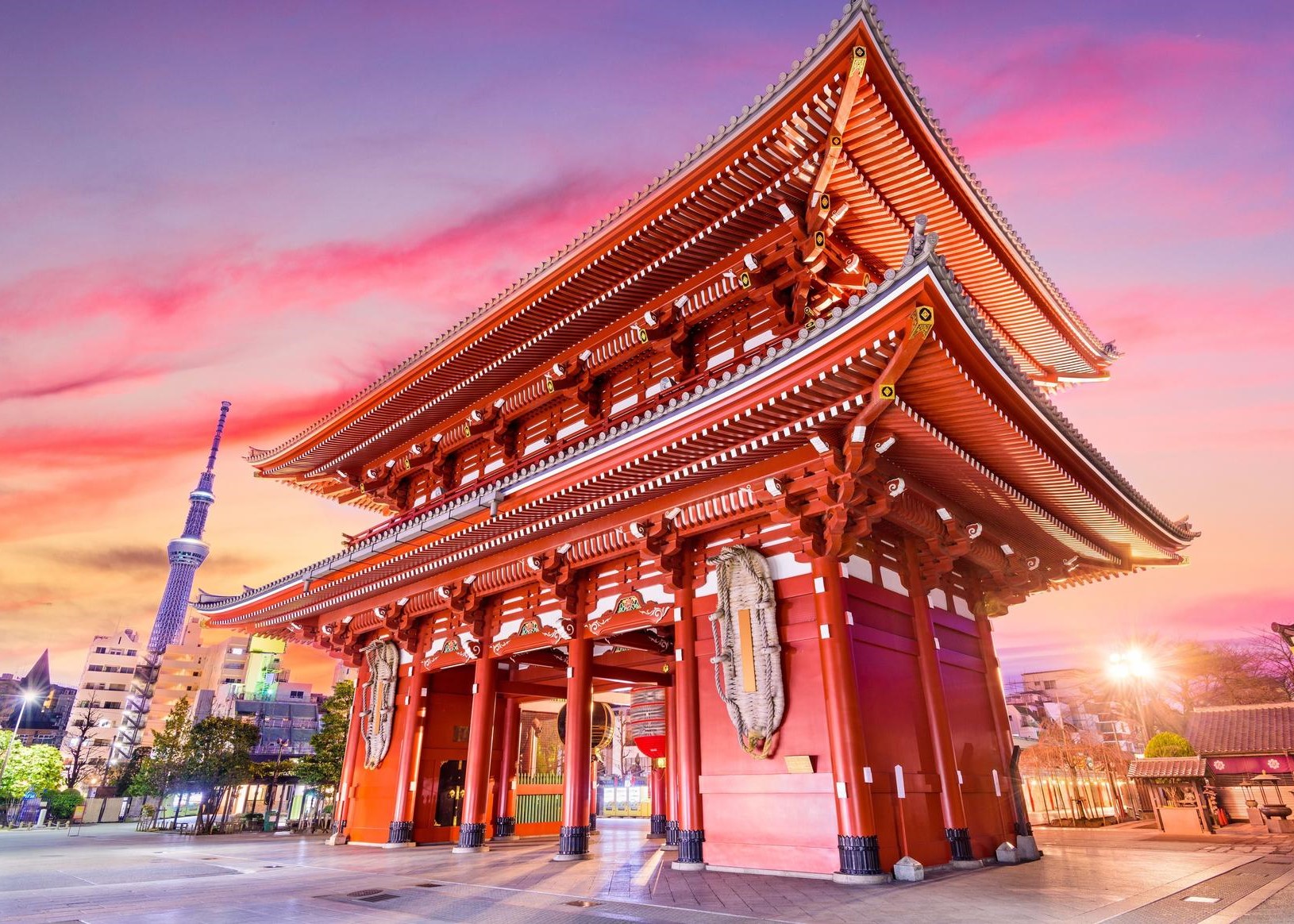 NIG Summer Internship 2026 | Japan | Partially Funded