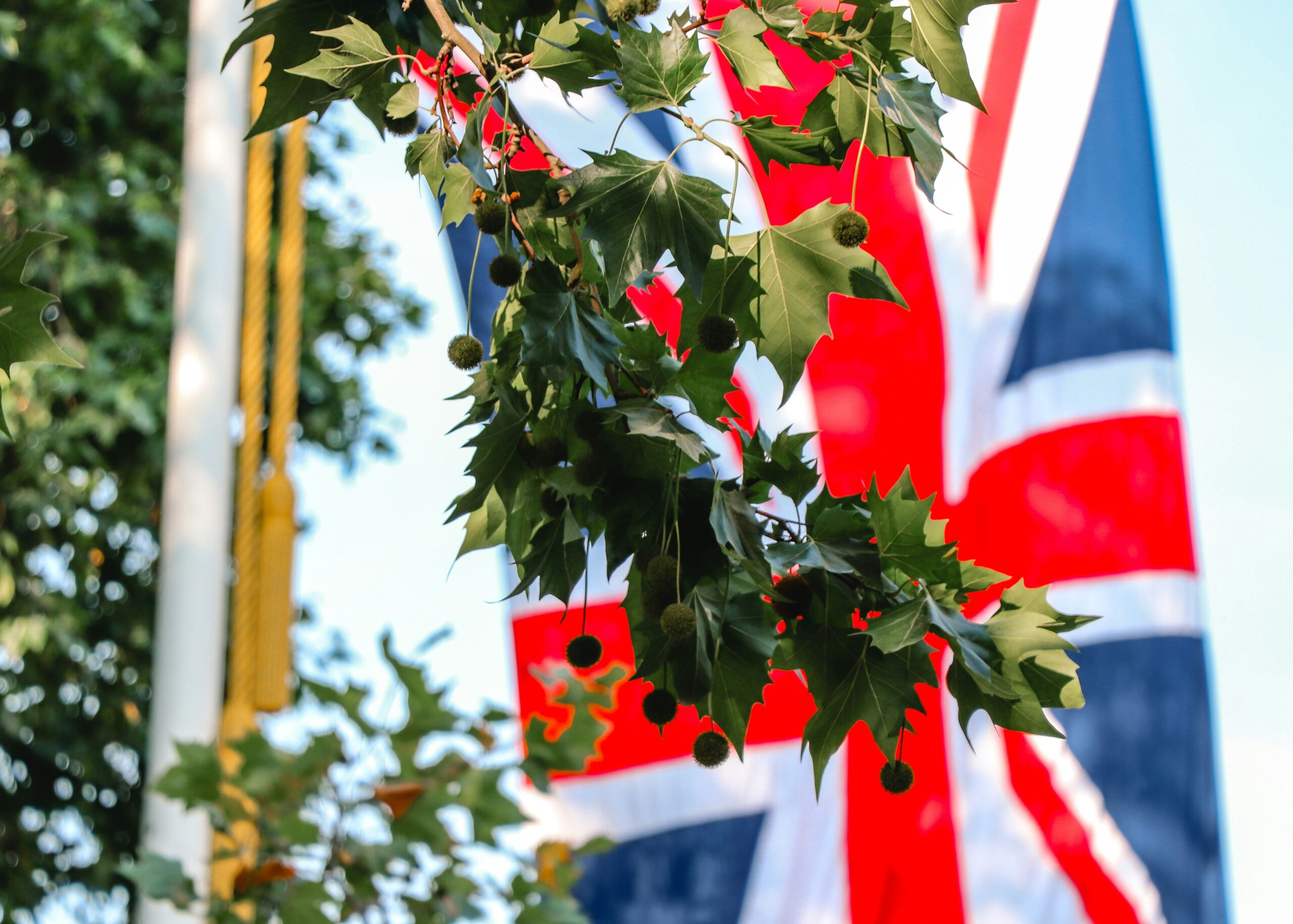 University of Surrey GREAT Scholarship 2026–2027 for Kenyan Students (£10,000 Postgraduate Award in the UK)