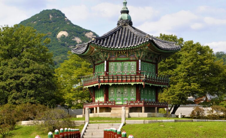 Global Internship Program 2026 | South Korea | Fully Funded