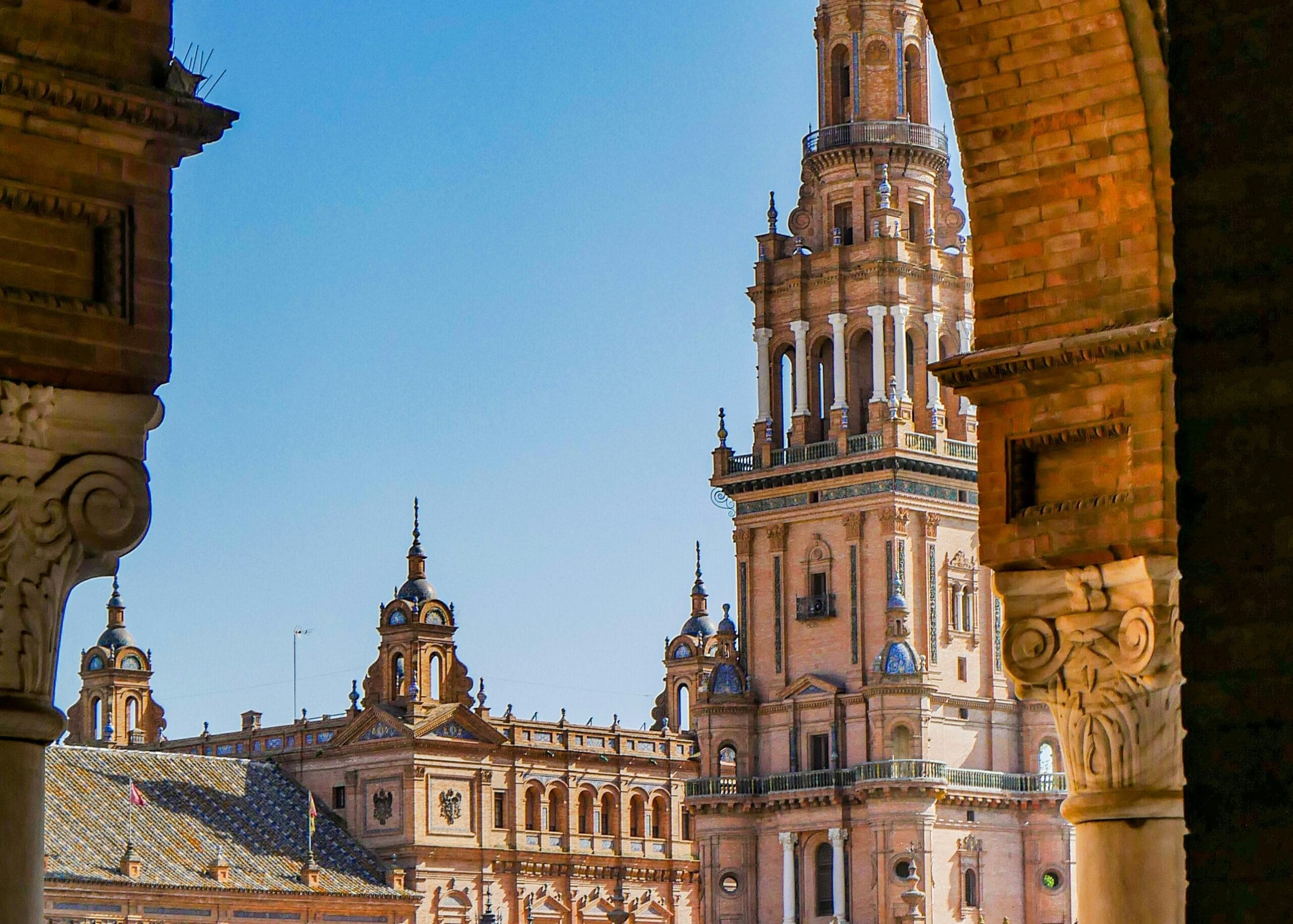 CNIO Summer Training Programme 2026 for Undergraduate Students in Spain