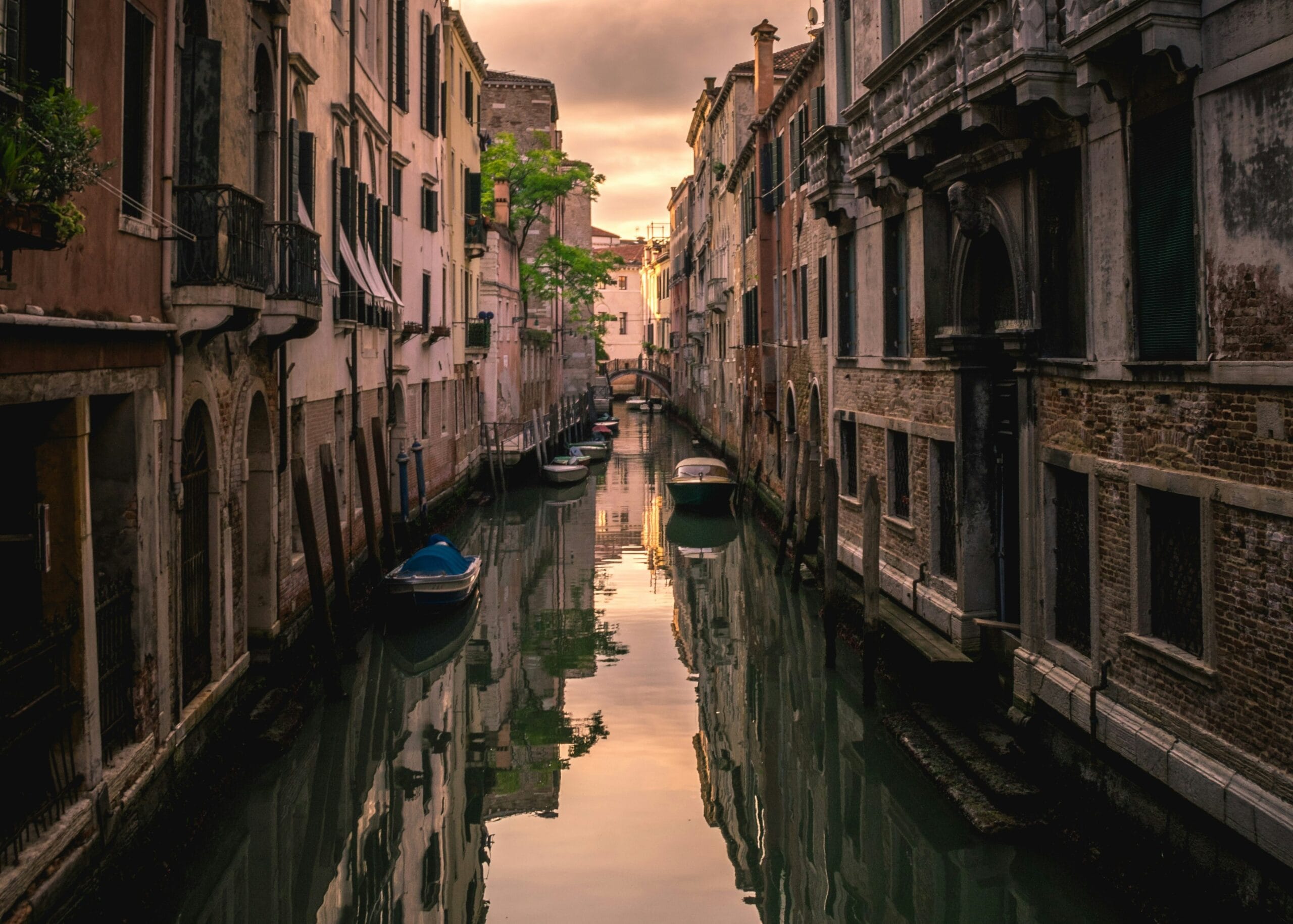 IFAD Internship Programme for Recent Graduates and Students