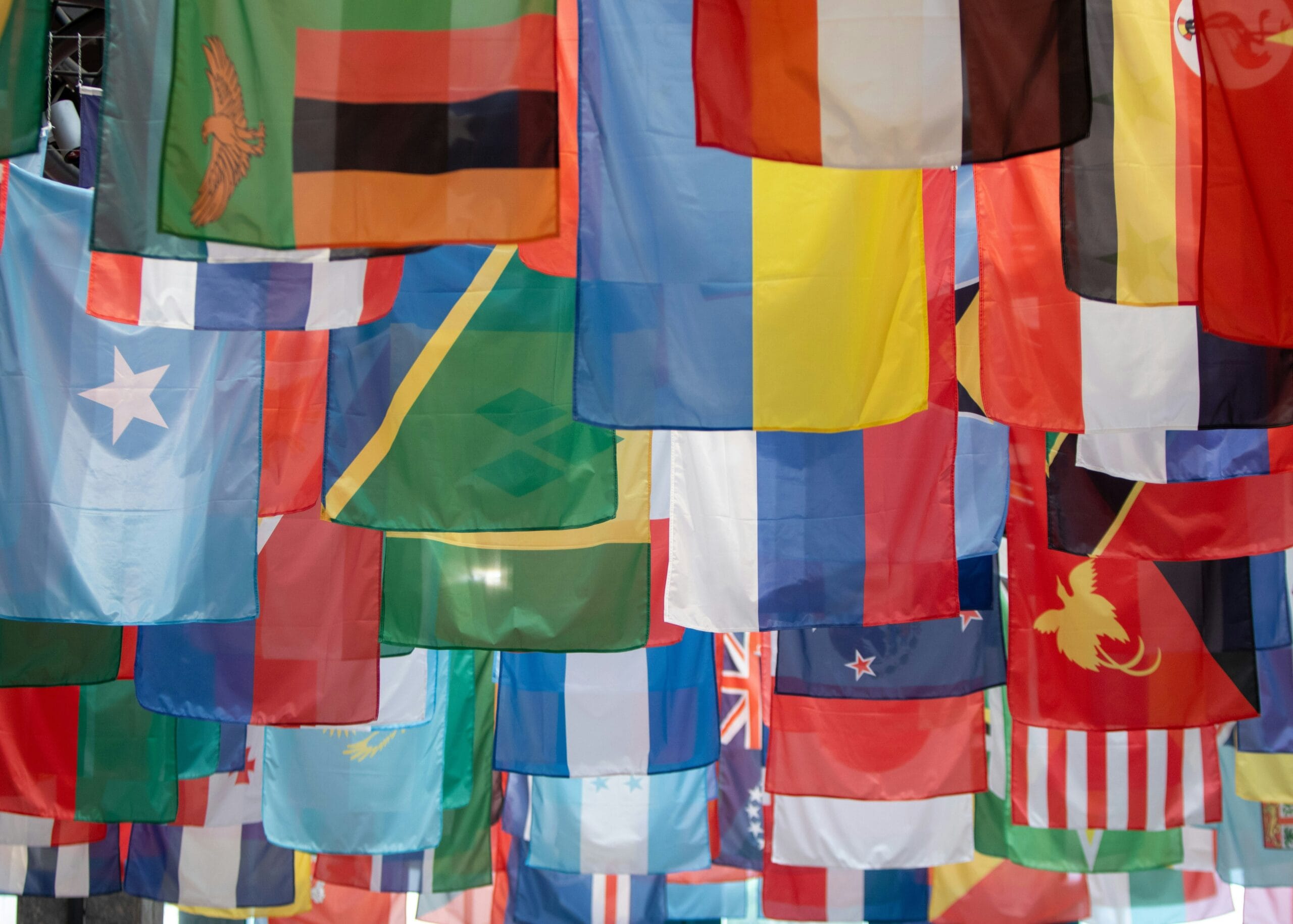 UNEP Young Champions of the Earth 2026 Application for Young Environmental Entrepreneurs