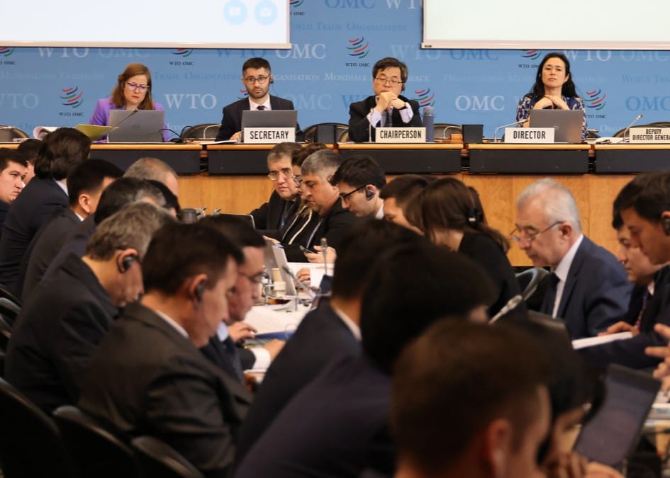 Fully Funded WTO Young Professionals Program 2027 in Geneva
