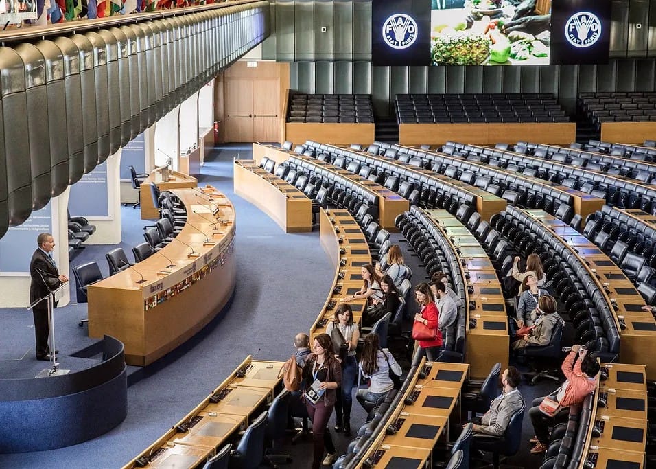 Youth Democracy Summit 2026 in Italy – 300 Delegates