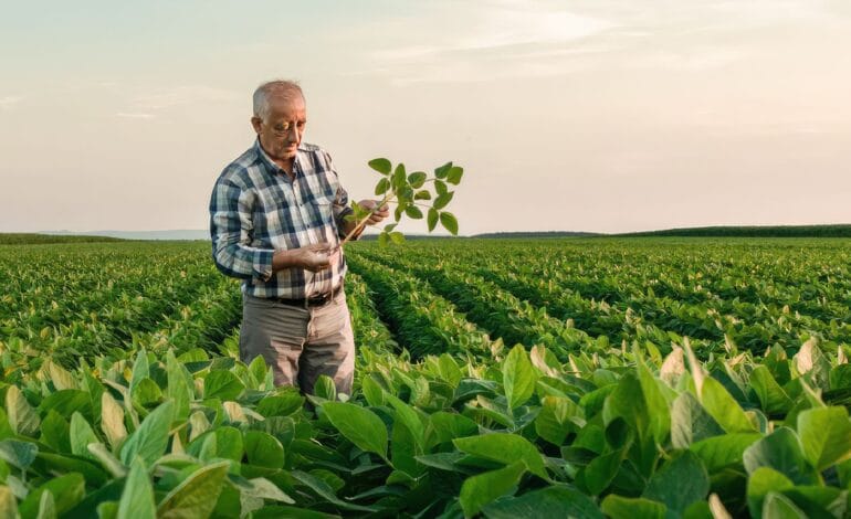 The Farm 2027 Residency Program in Australia – Fully Funded