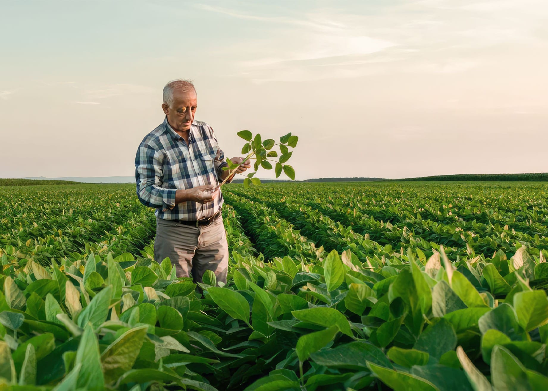 The Farm 2027 Residency Program in Australia – Fully Funded