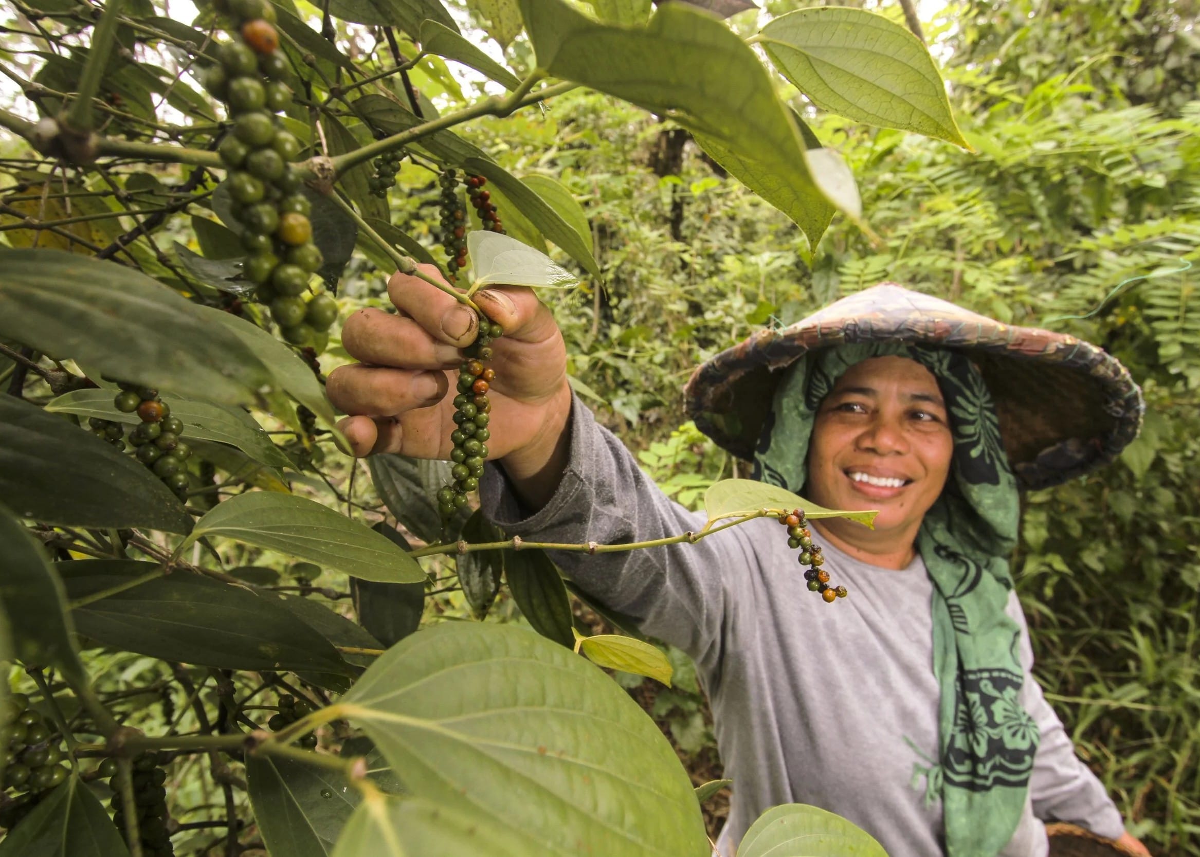 Darwin Initiative Round 32 Grants for Biodiversity Projects