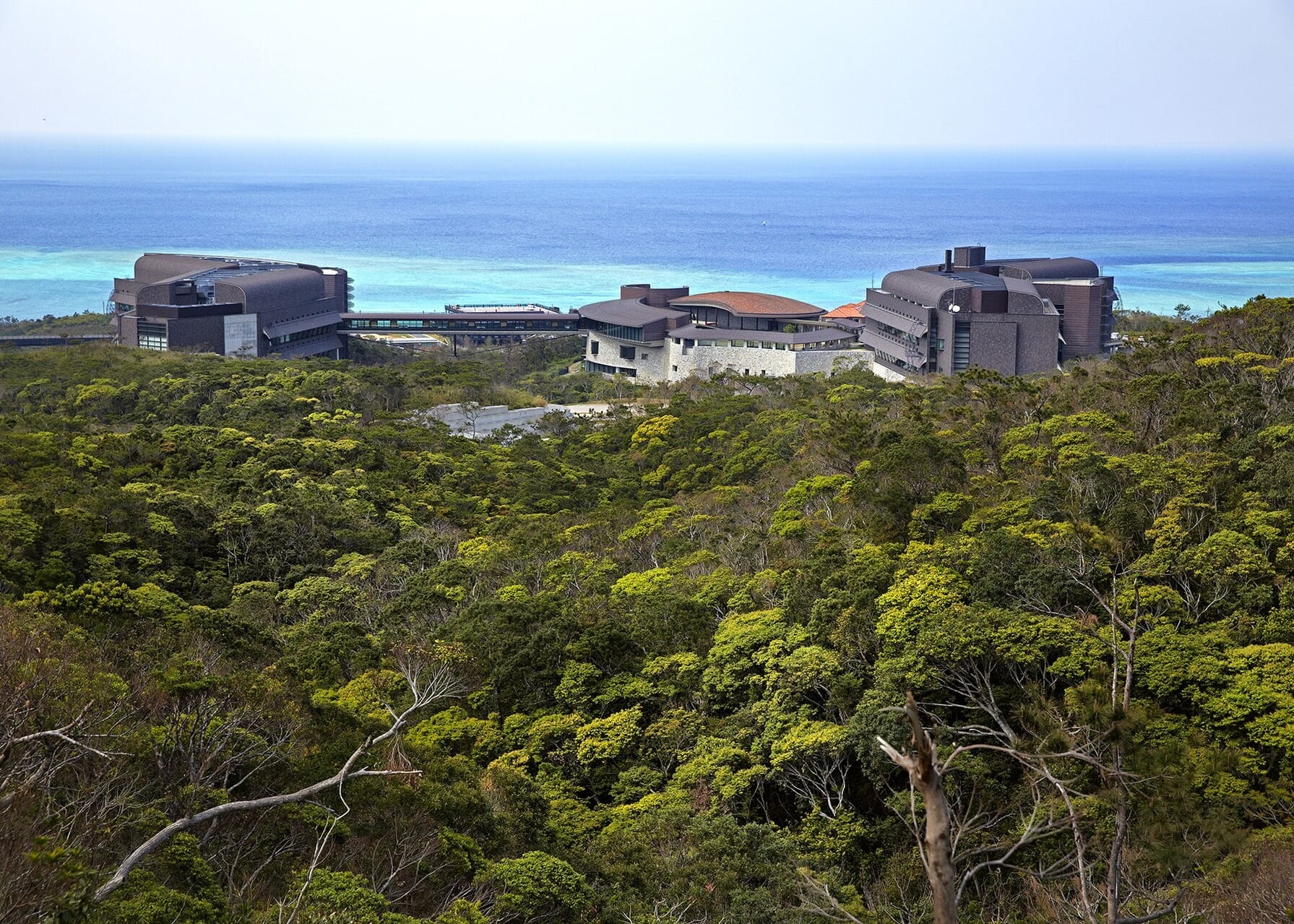 OIST Research Internship Spring 2027 in Japan (No IELTS Required)