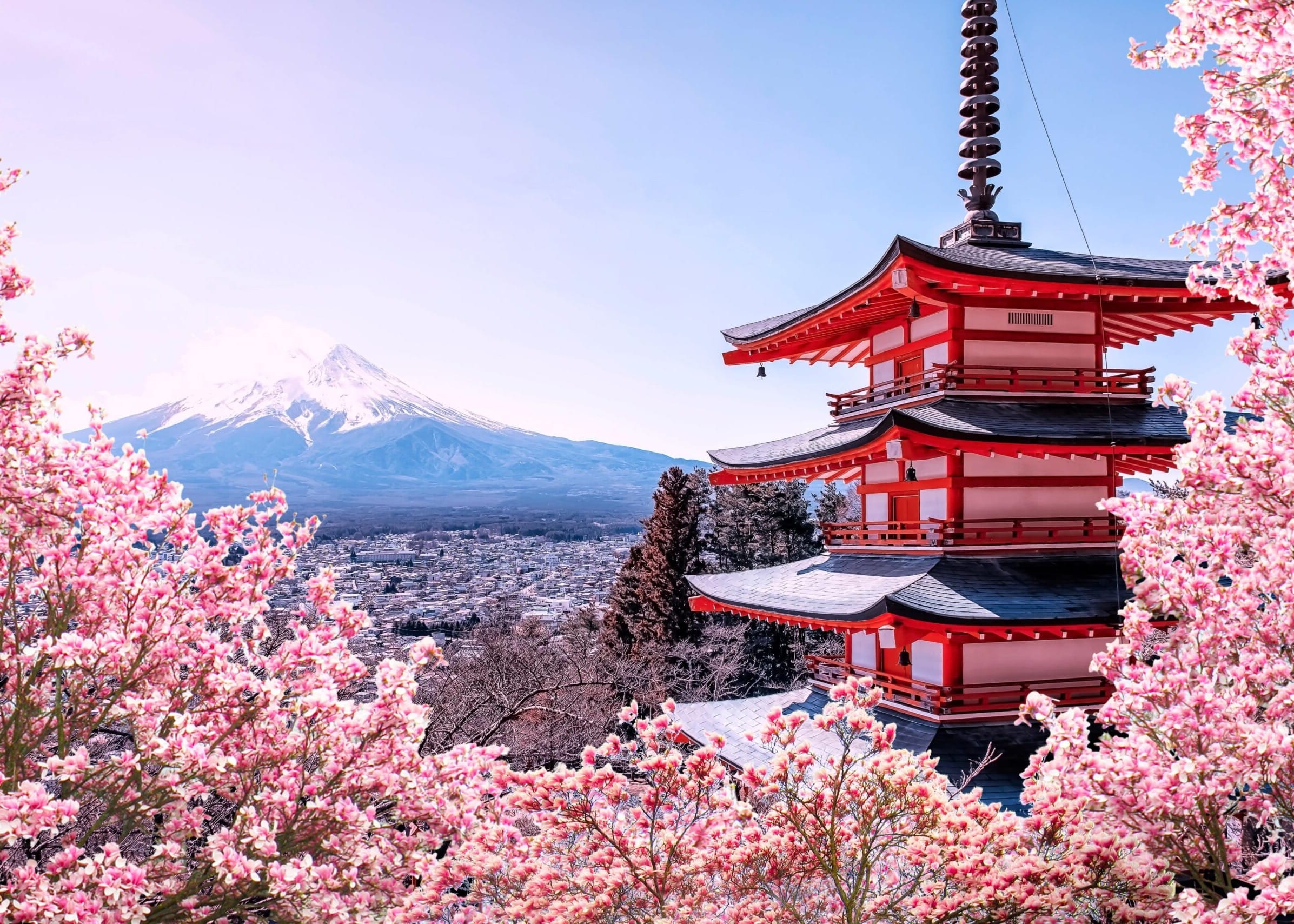 MIF Research Fellowship Program 2027 in Japan
