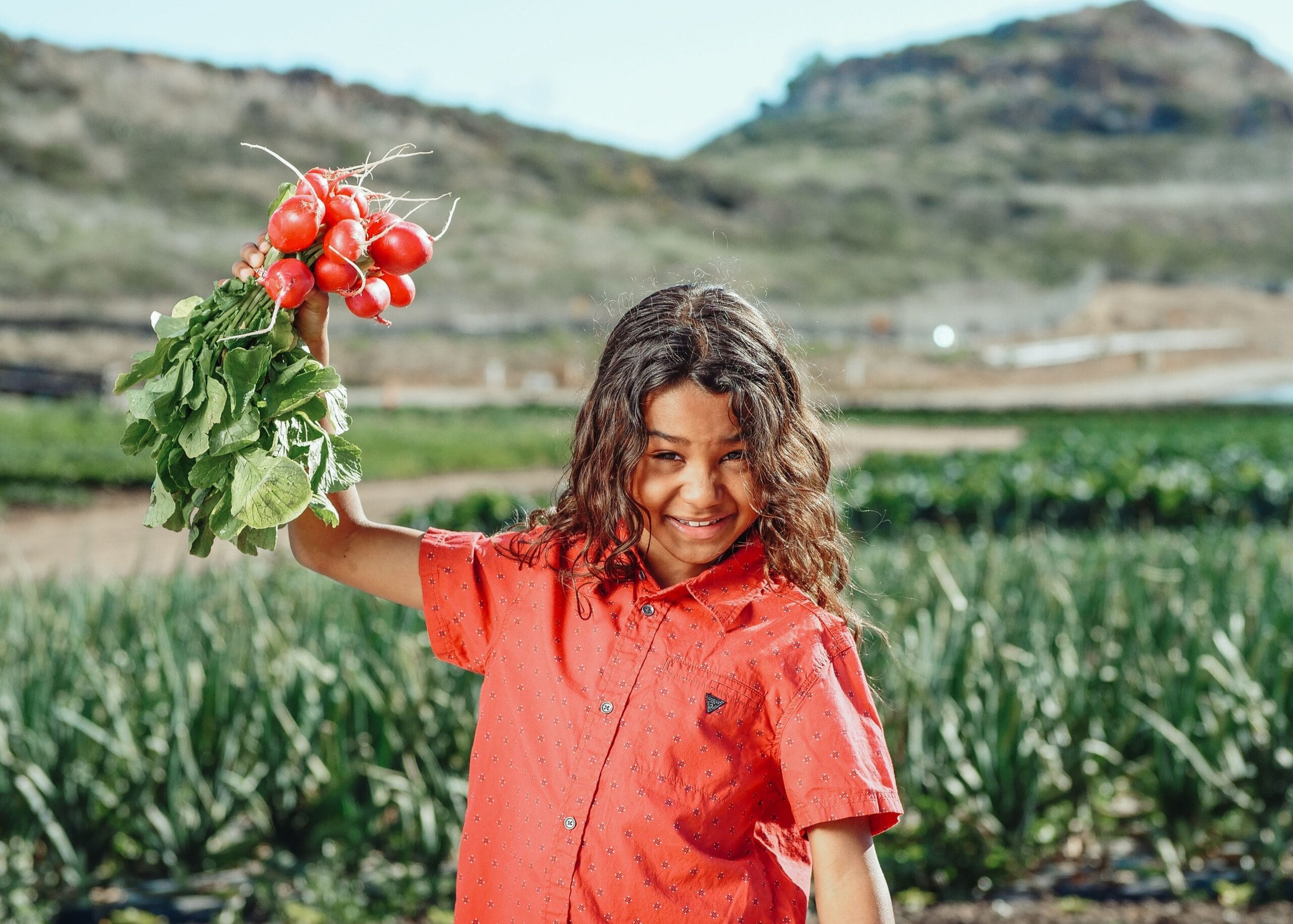FAO Global Youth Contest 2026 – Fully Funded Trip to Rome