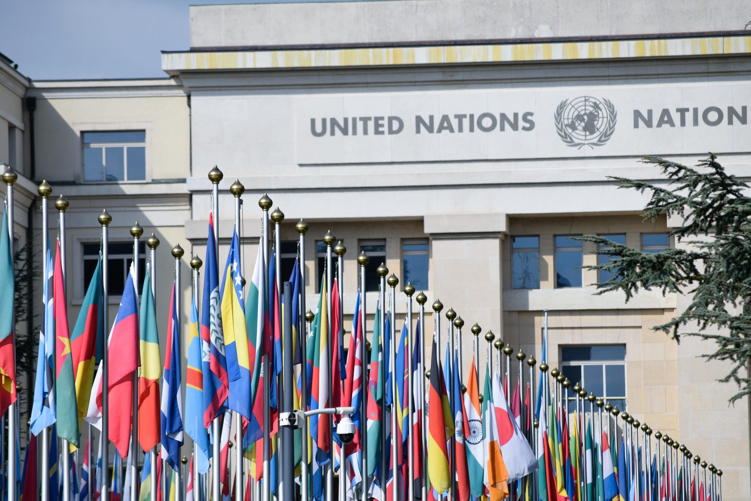 UNIDIR Graduate Professional Programme 2026 – Middle East WMD-Free Zone