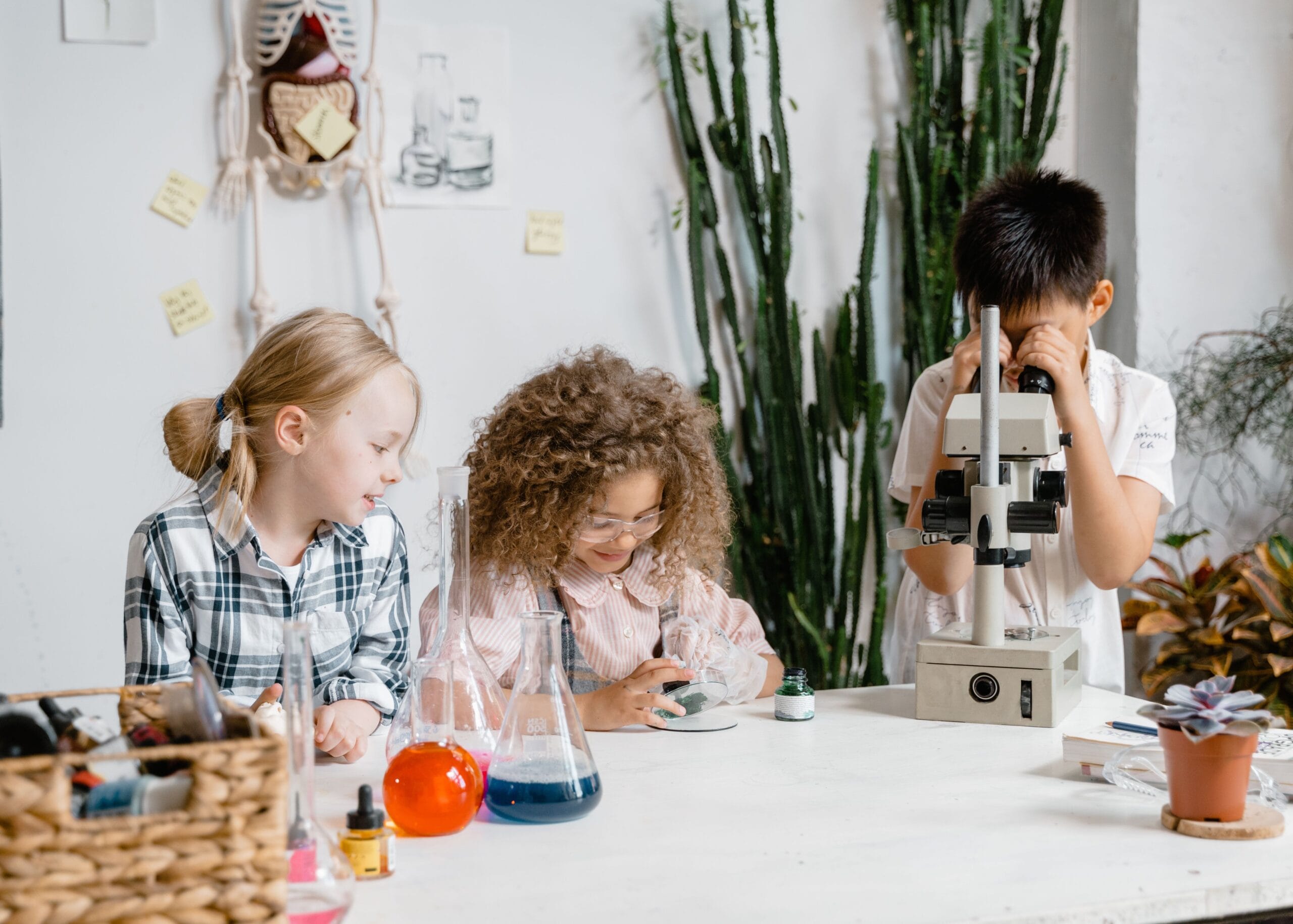 AFS Global STEM Changemakers 2026 Virtual Exchange Program