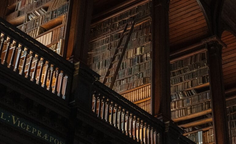 Kader Asmal Fellowship Programme 2027 in Ireland (Fully Funded)