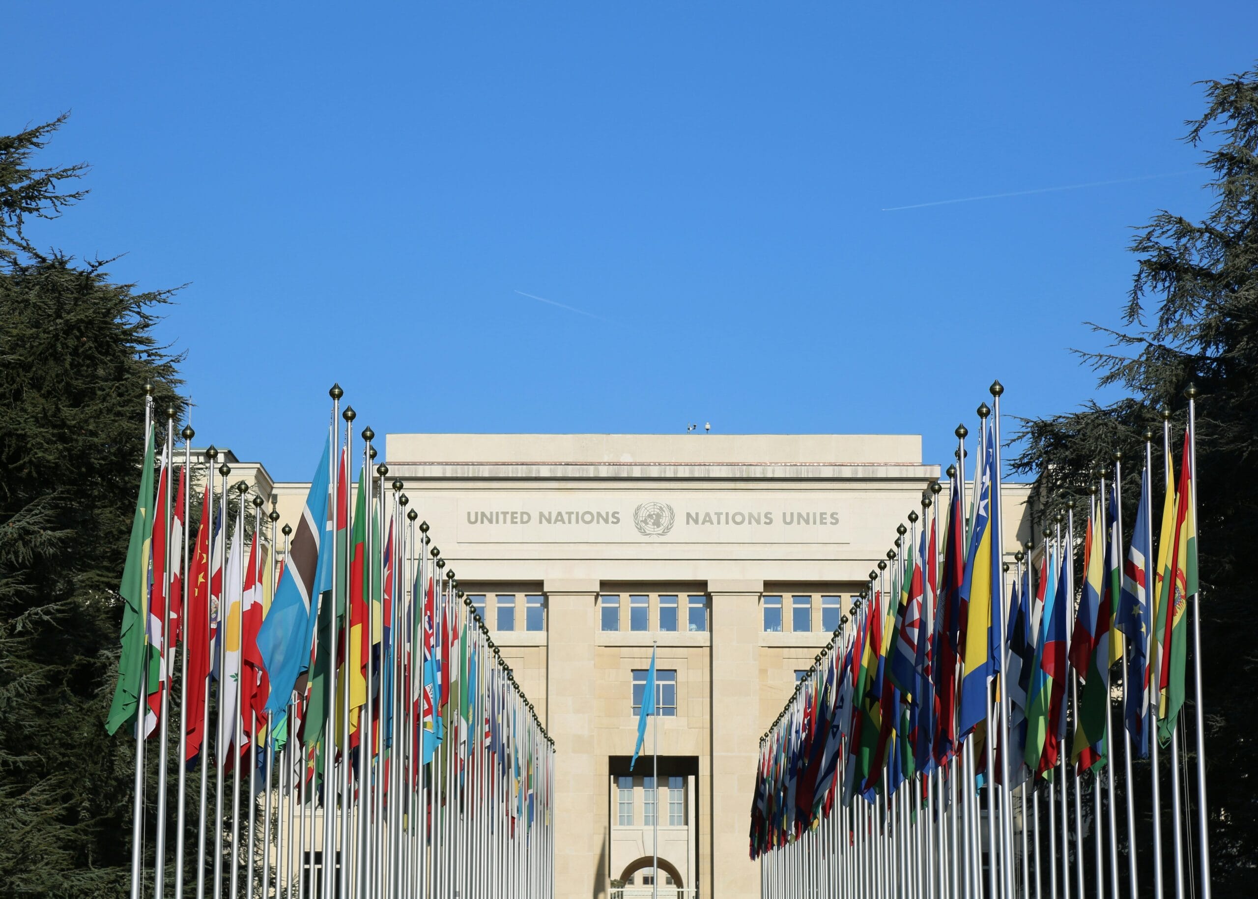 UNITAR Youth and Women Programme for Sub-Saharan Africa 2026 (Funded)