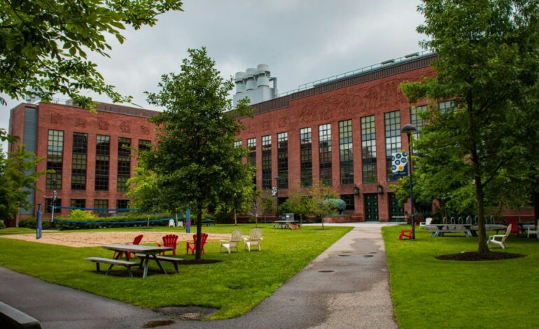 Harvard LEAD Fellowship 2027–2028 in the USA (Fully Funded)